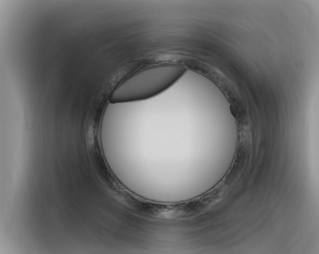 X0000116340504200912011021