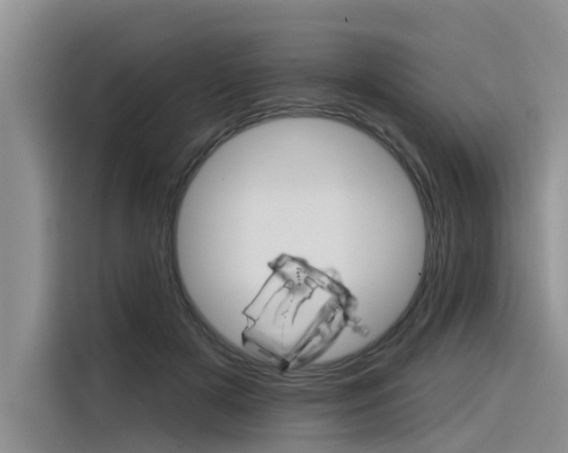 X0000116340505200912011021