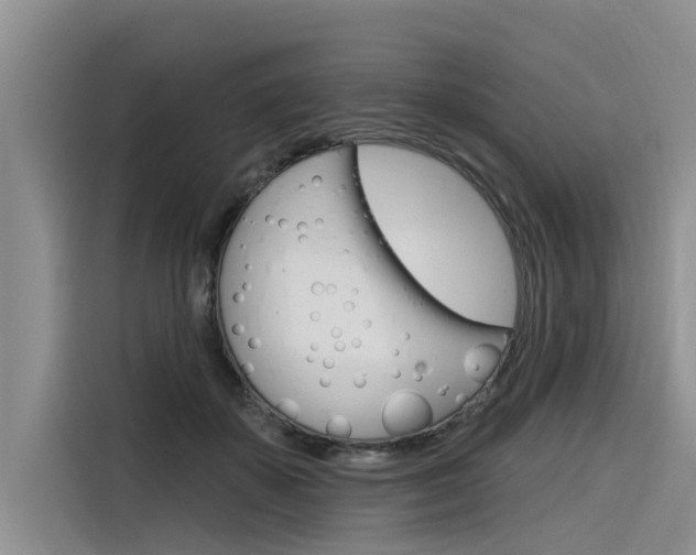 X0000116340507200912011021
