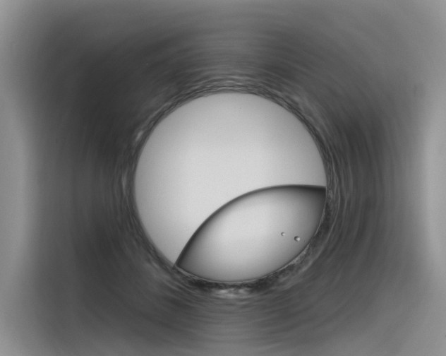X0000116340508200912011021
