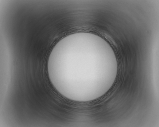 X0000116340509200912011021