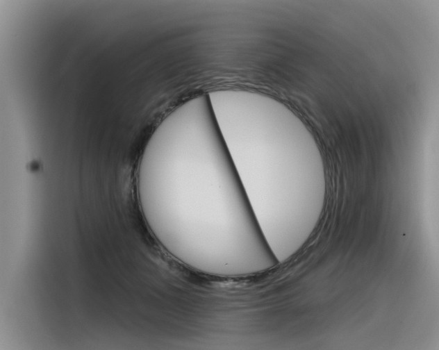 X0000116340511200912011021