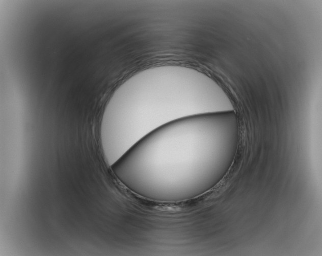 X0000116340512200912011021