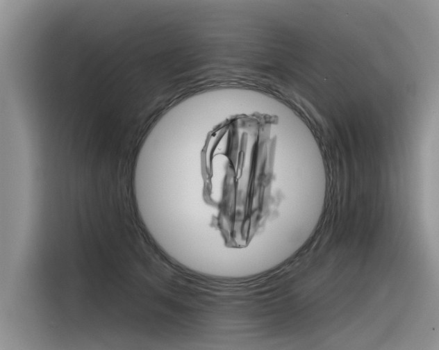 X0000116340513200912011021
