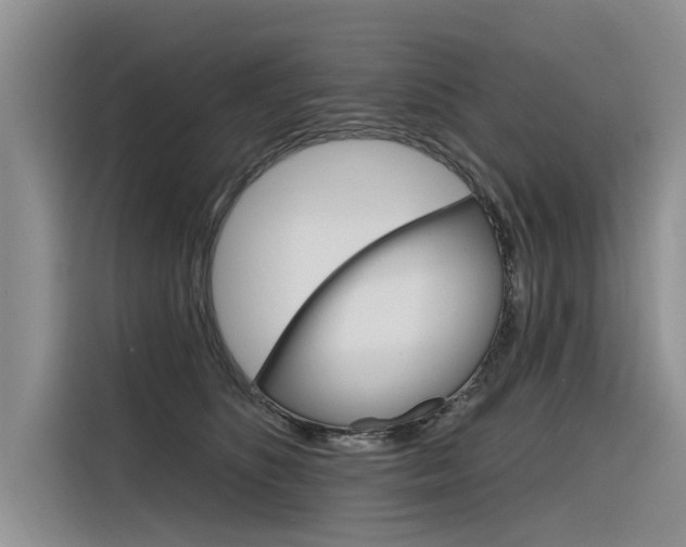X0000116340516200912011021
