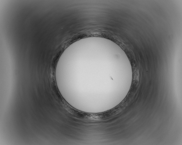 X0000116340518200912011021