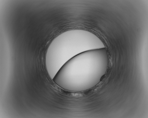 X0000116340520200912011021