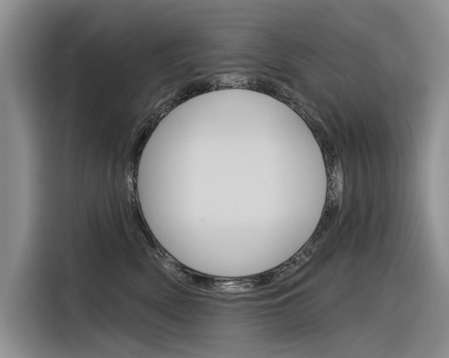X0000116340522200912011021