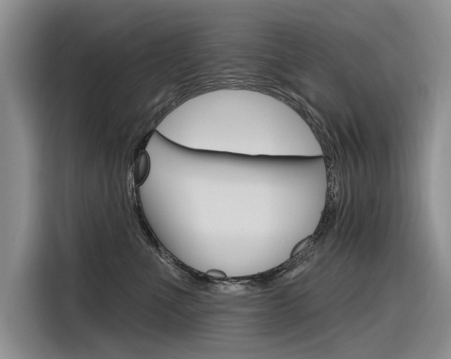 X0000116340523200912011021