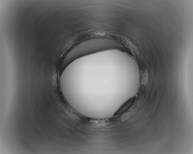 X0000116340524200912011021