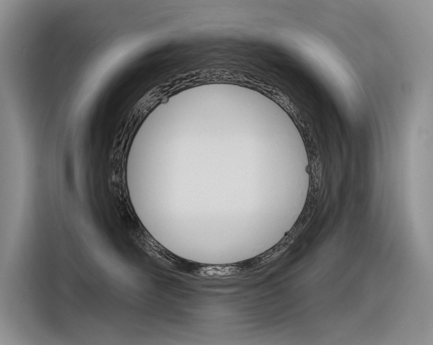 X0000116340526200912011021