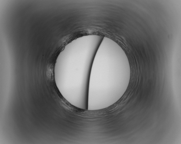 X0000116340527200912011021