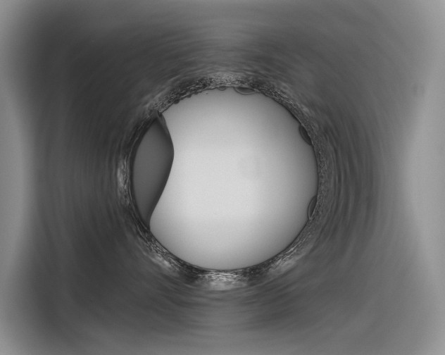 X0000116340528200912011021