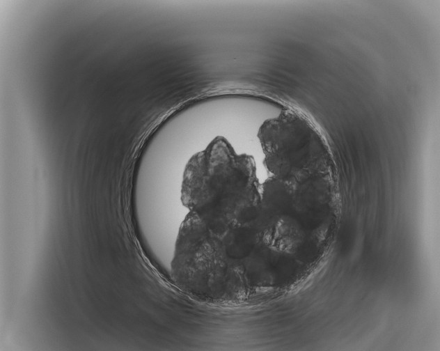 X0000116340529200912011020