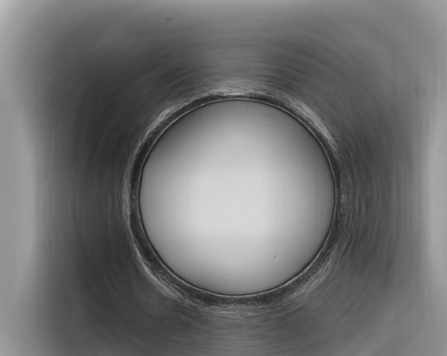 X0000116340530200912011020