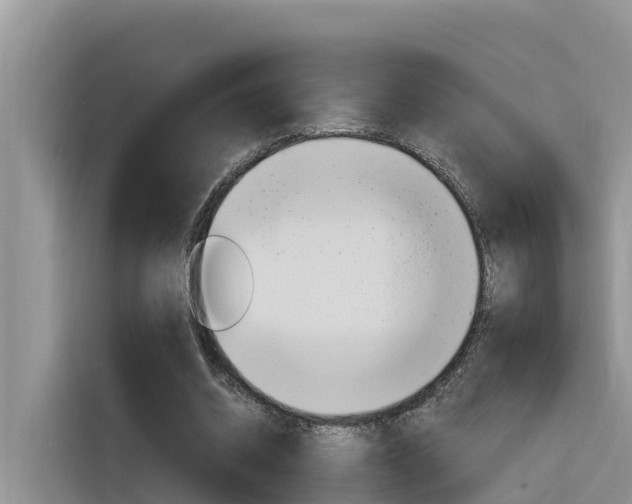 X0000116340534200912011020