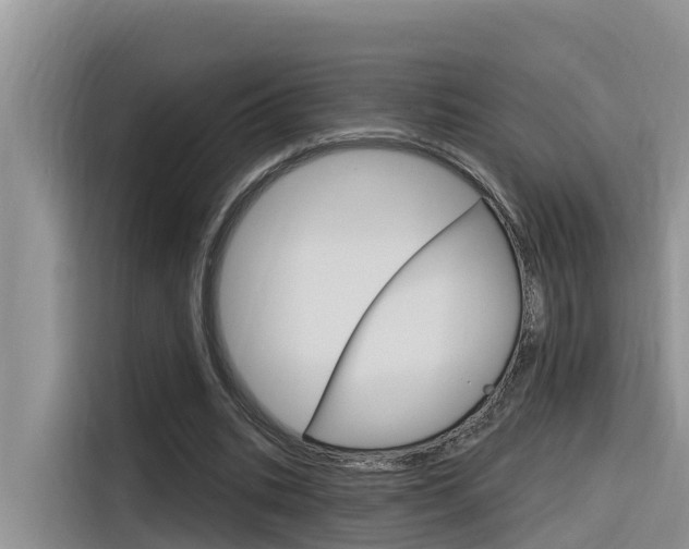 X0000116340535200912011020