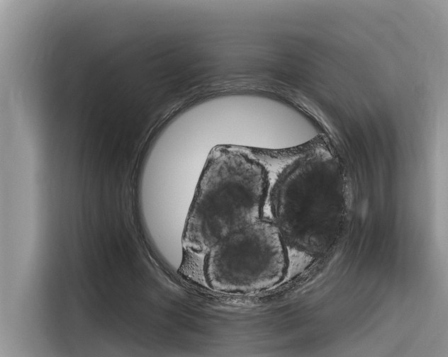 X0000116340537200912011020