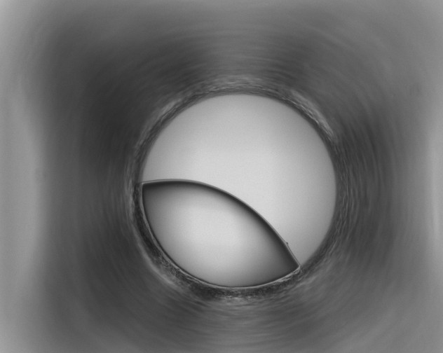 X0000116340538200912011020