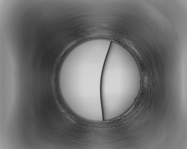 X0000116340539200912011020