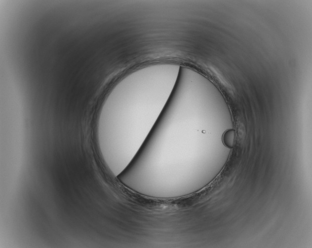 X0000116340543200912011020