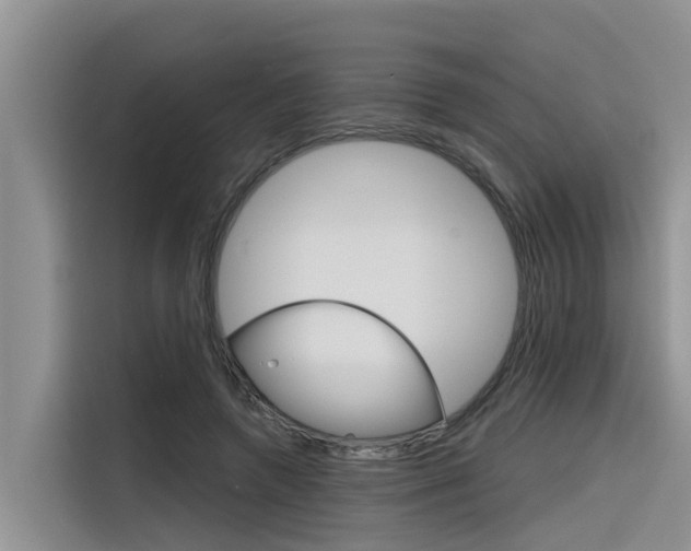 X0000116340546200912011020