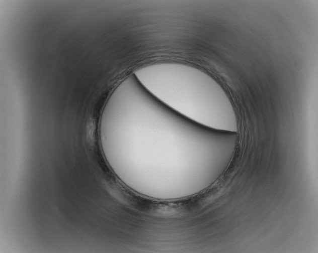X0000116340550200912011020