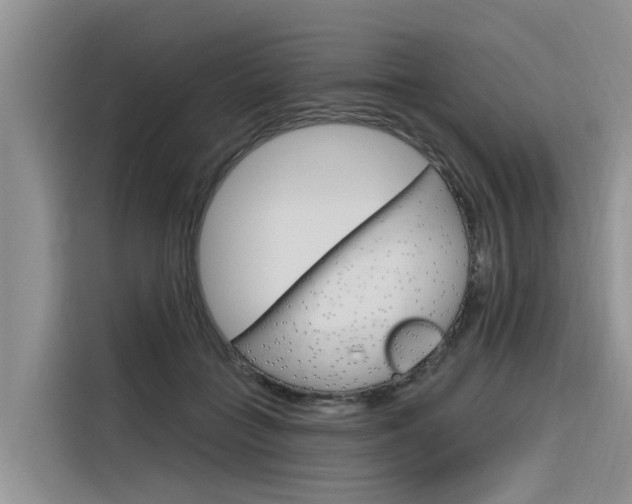 X0000116340555200912011020