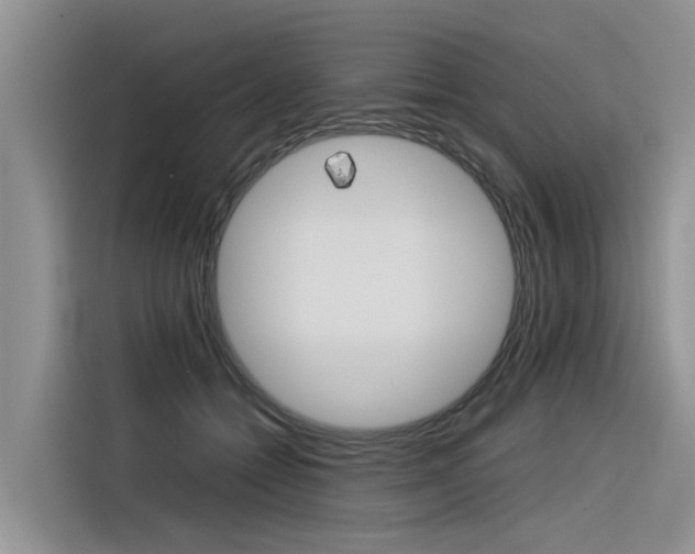 X0000116340558200912011020