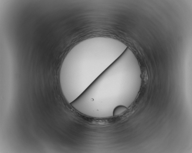 X0000116340559200912011020