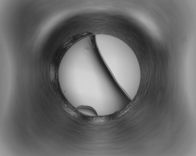 X0000116340574200912011021