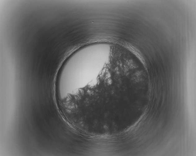 X0000116340578200912011020