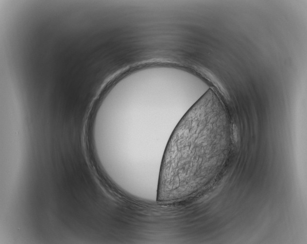 X0000116340588200912011020