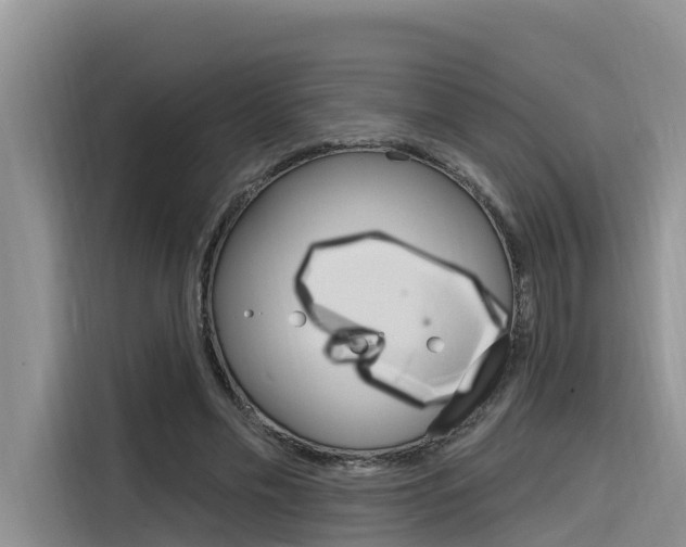 X0000116340589200912011020