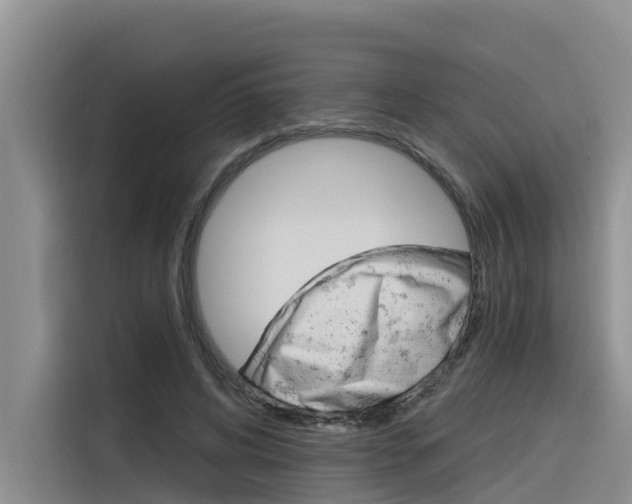 X0000116340592200912011020