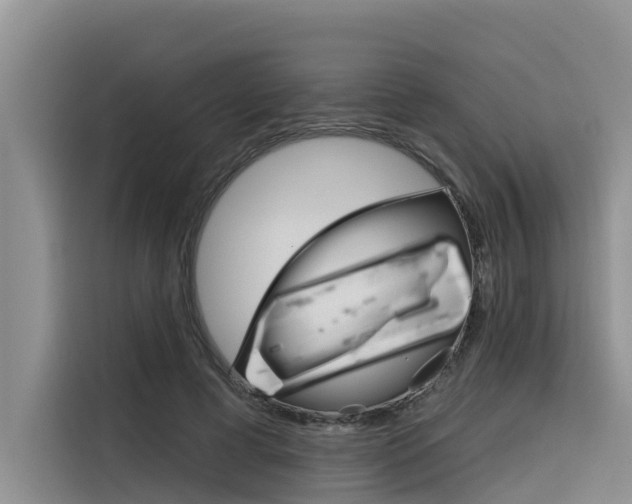 X0000116340593200912011020