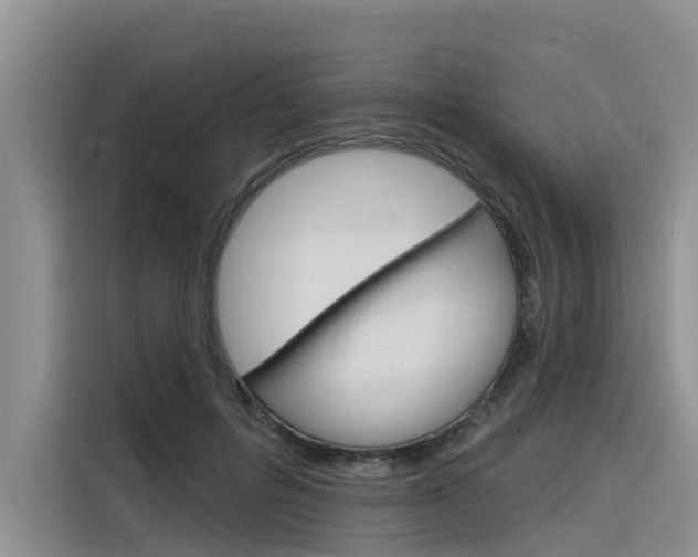 X0000116340600200912011020