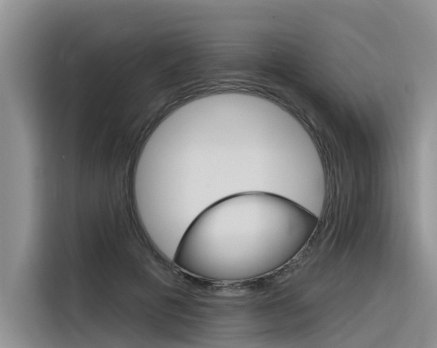 X0000116340601200912011020