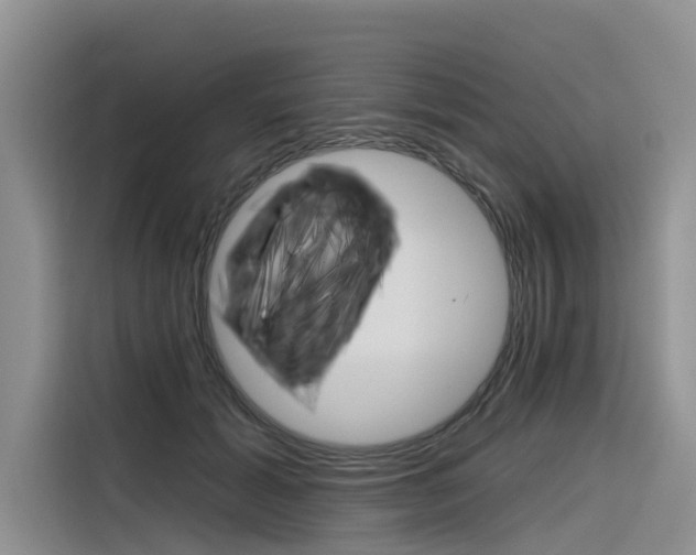 X0000116340605200912011020