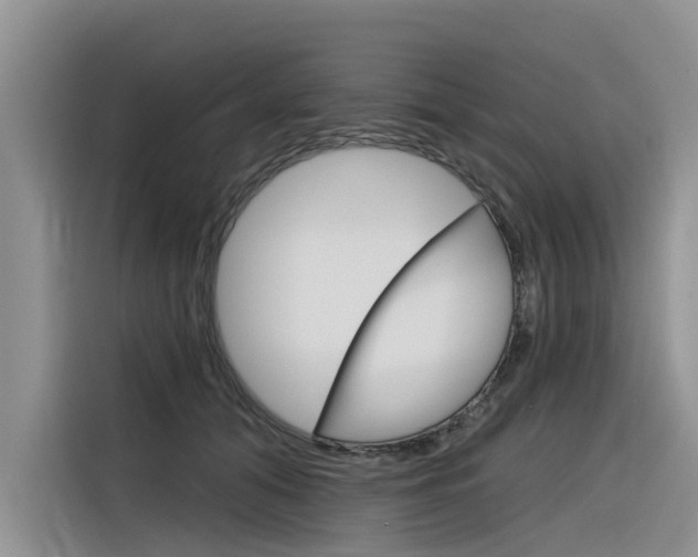 X0000116340608200912011020