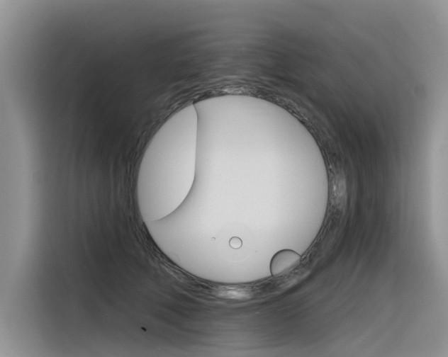 X0000116340610200912011020