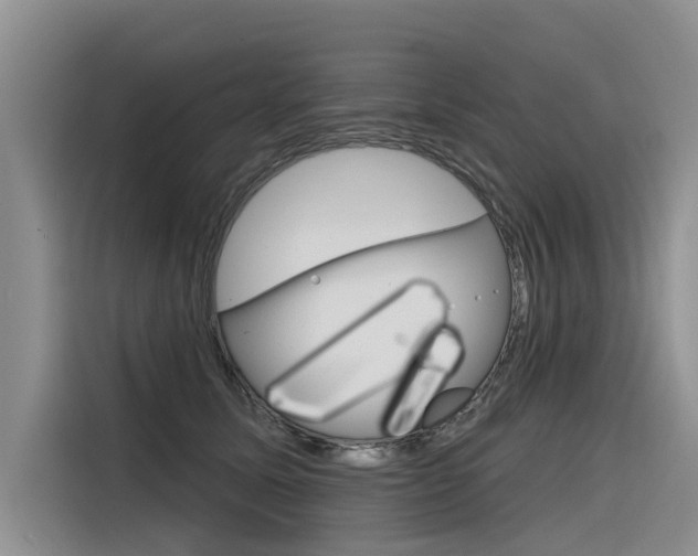 X0000116340611200912011020