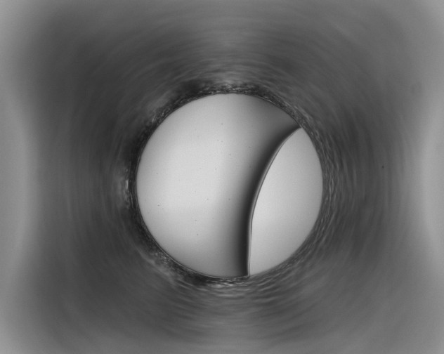 X0000116340615200912011019