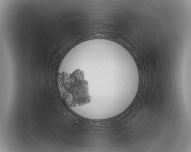 X0000116340617200912011019