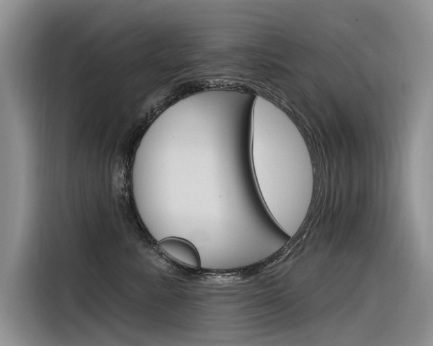 X0000116340619200912011019