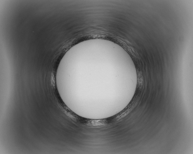 X0000116340622200912011019
