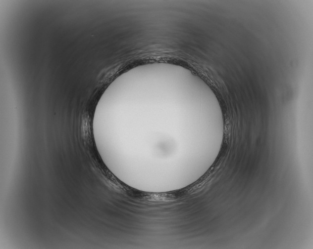 X0000116340623200912011019