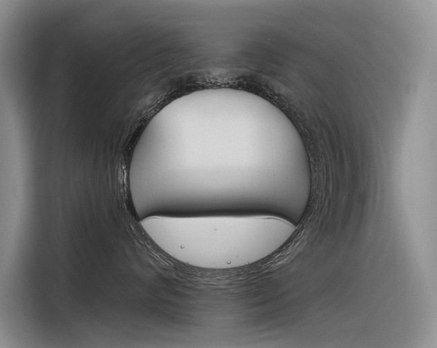 X0000116340624200912011019