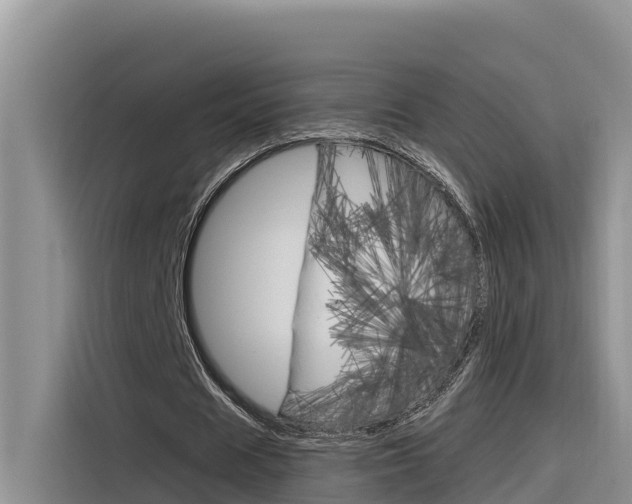 X0000116340625200912011019