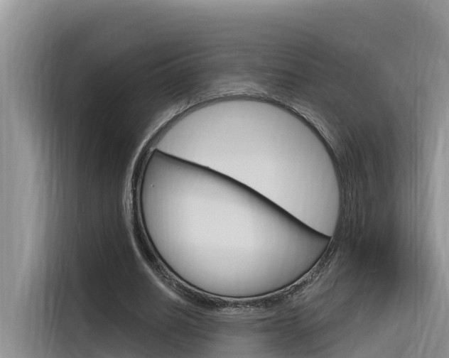 X0000116340630200912011019